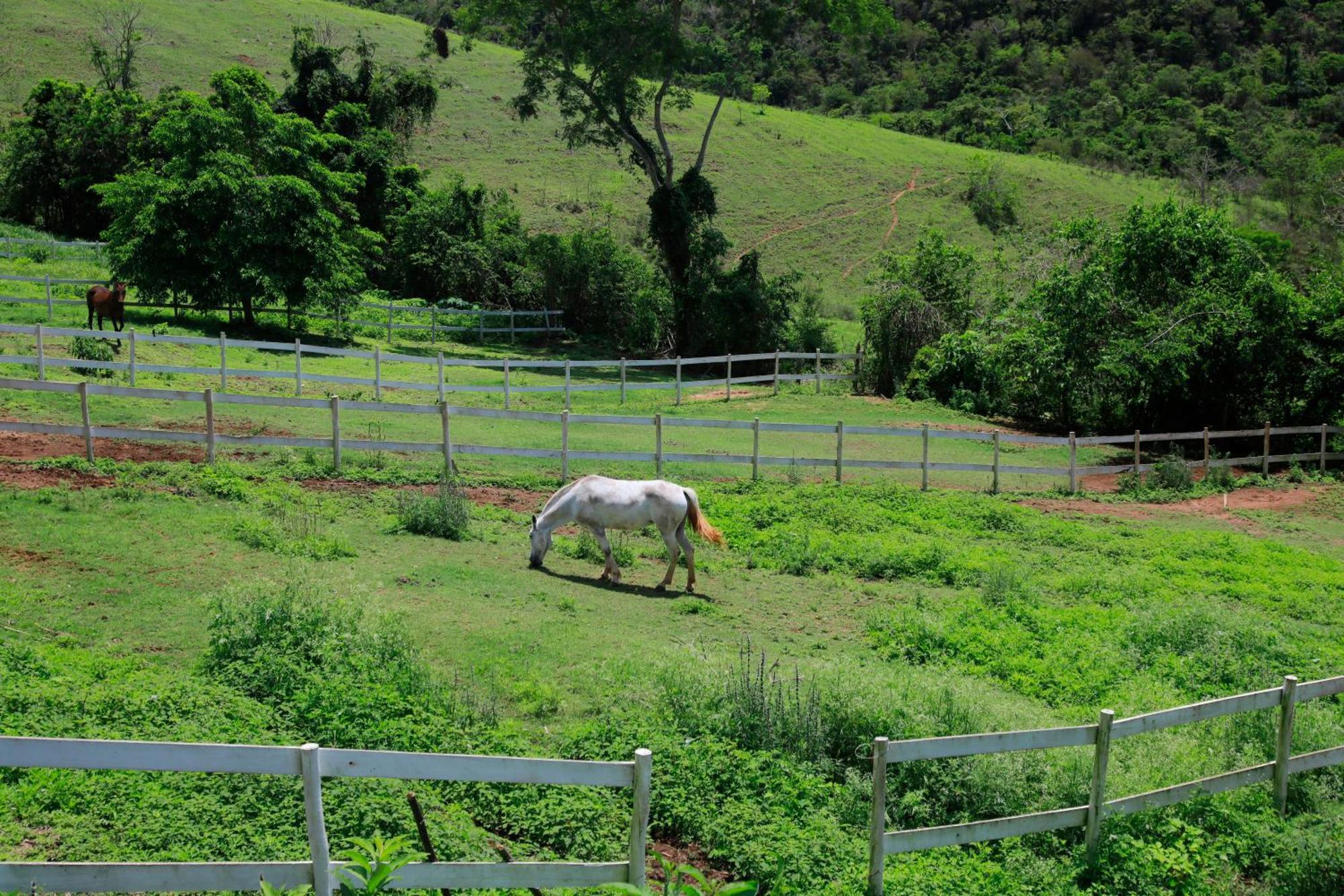 Cabana Secretario Petrópolis Dış mekan fotoğraf